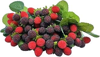 4PCS Artificial Raspberry Red Berry Strawberry Faux Fruit BlackBerry Props Table Decoration (Red with Black)