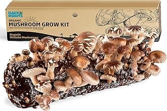 Organic Shiitake Mushroom Kit; Great Gift; Easy for Beginners, For Indoor Growing (Start Growing Right Away)