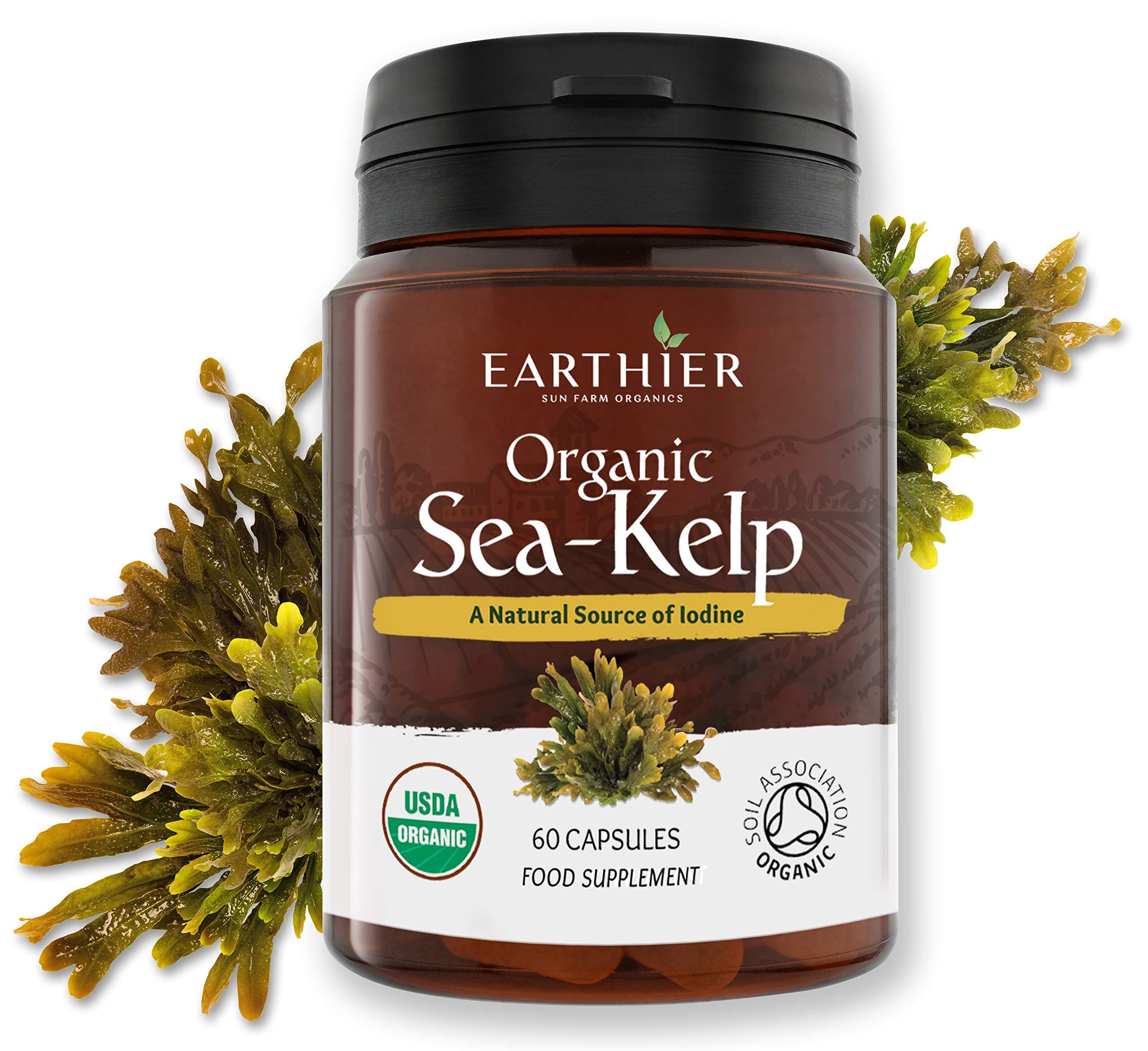 Organic Iodine from Sea Kelp