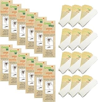 GreenWay Spider & Silverfish Trap - 72 prebaited glue traps | Ready To Use Heavy Duty Glue, Safe, Non-Toxic with No Insecticides or Odor, Eco Friendly, Kid and Pet Safe