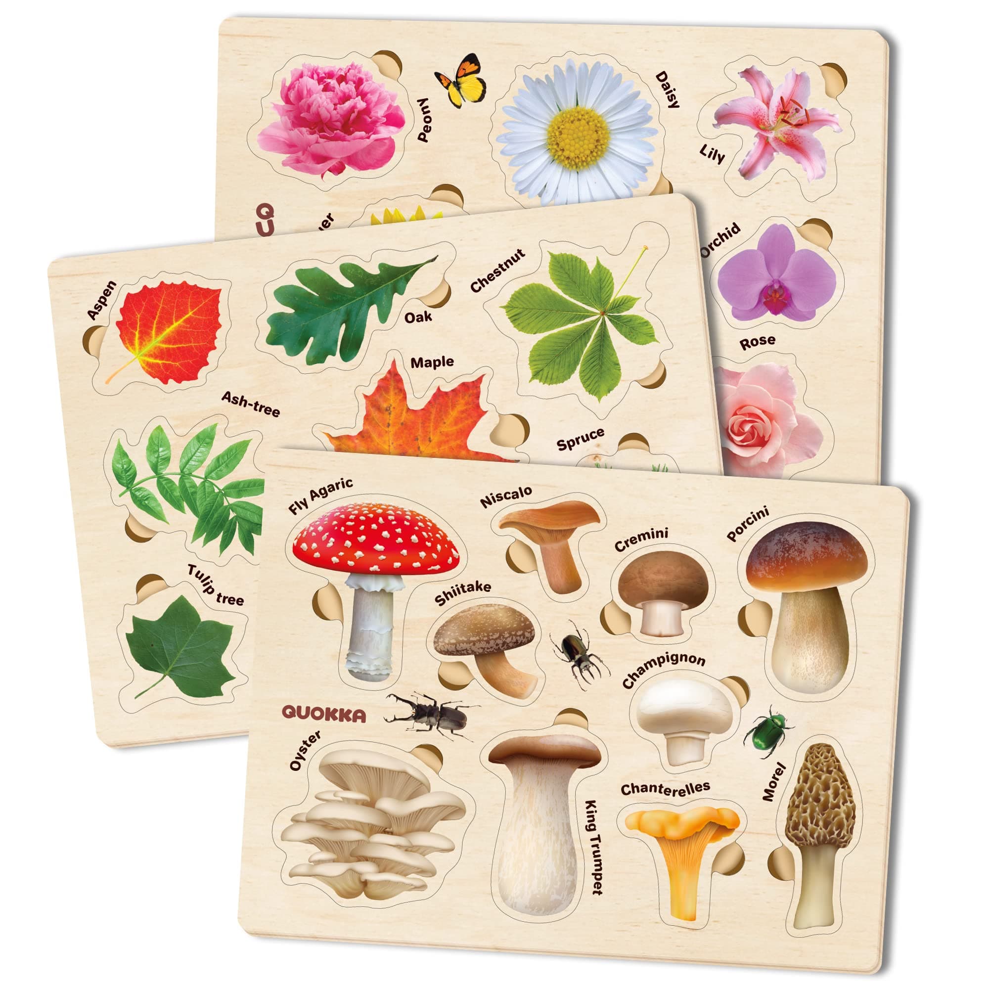 3 Puzzles Bundle - Mushrooms Flowers Leaves