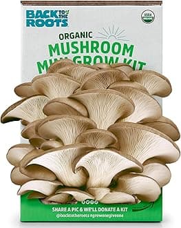 Back To The Roots - Organic Mushroom Mini Farm