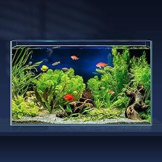 Aquarium Fish Tank 30.5L Ultra Clear Glass Rimless Low Iron Aquarium for Betta/Nano/Goldfish/Snail/Shrimp, Large Fish Tank, Cover Set, Feeding Ring and Cleaning Tools
