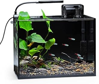 NICREW 2.5 Gallon Nano Nature Aquarium Kit, Ultra-Clear Rimless Desktop Fish Tank with Light, Filter, Gravel and Rock, Perfect for Small Fish, Shrimp, or Betta, Complete Version, Black