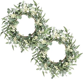 Pinkpum 2 Pack Wreaths for Front Door 20'' Christmas Eucalyptus Wreath, Spring Summer Door Green Wreath for Home Porch Window Wall Farmhouse Home Decor Indoor Outdoor Summer All Seasons