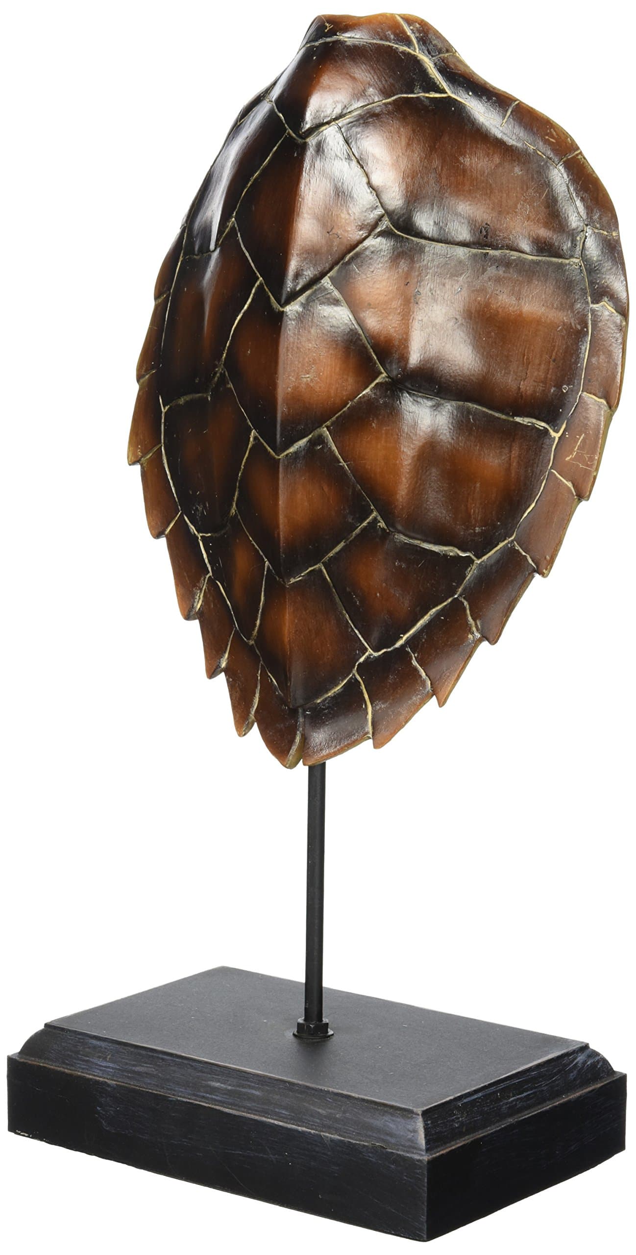Home Decor Spiny Turtle Shell Museum Decor