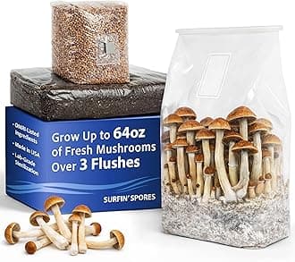6 LB All-in-One Mushroom Grow Kit, Up to 64oz of Fresh Mushrooms Over 3 Flushes, Sterilized Grain Bag + Dung-Loving Substrate, Injection Port, OMRI-Listed, Made in USA, Just Add Spores