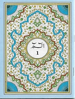 Quran 30 Para Set Arabic 2 Colours Blue 1-30 Juj With Bag Paperback