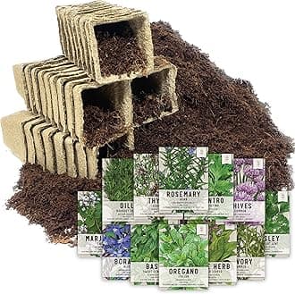 Seed Needs, Culinary Herb Seed Packet Collection Seed Starting Bundle (Includes 12 Individual Seed Packets, 36 Starter Pots & 1 Expandable Coco Coir Brick) Heirloom, Non-GMO, Untreated