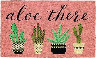 DII Natural Coir Doormat, Decorative Hello Mat, 17x29, Aloe There