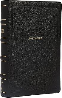 NKJV, End-of-Verse Reference Bible, Personal Size Large Print, Leathersoft, Black, Red Letter, Comfort Print: Holy Bible, New King James Version (9 x 6 x 1.5 inches)