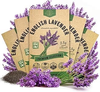 Organo Republic 5-Pack English Lavender Seeds 12.50G - Over 11000 Non-GMO Heirloom Lavender Seeds for Planting in Individual Seed Packets, Herb Seeds for Planting Home Garden Indoor & Outdoor
