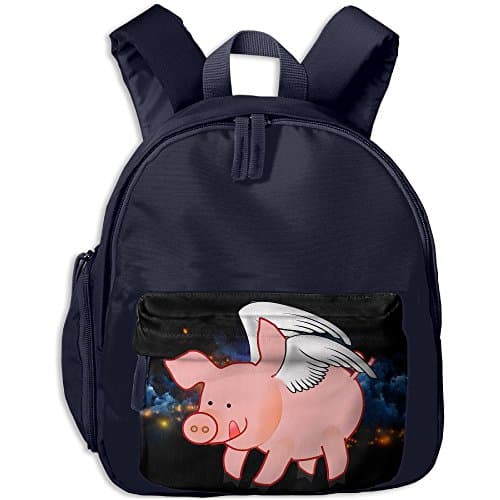 Flying Pig Print Lightweight Toddler Backpack Shoulder Bag School Backpack For Kids