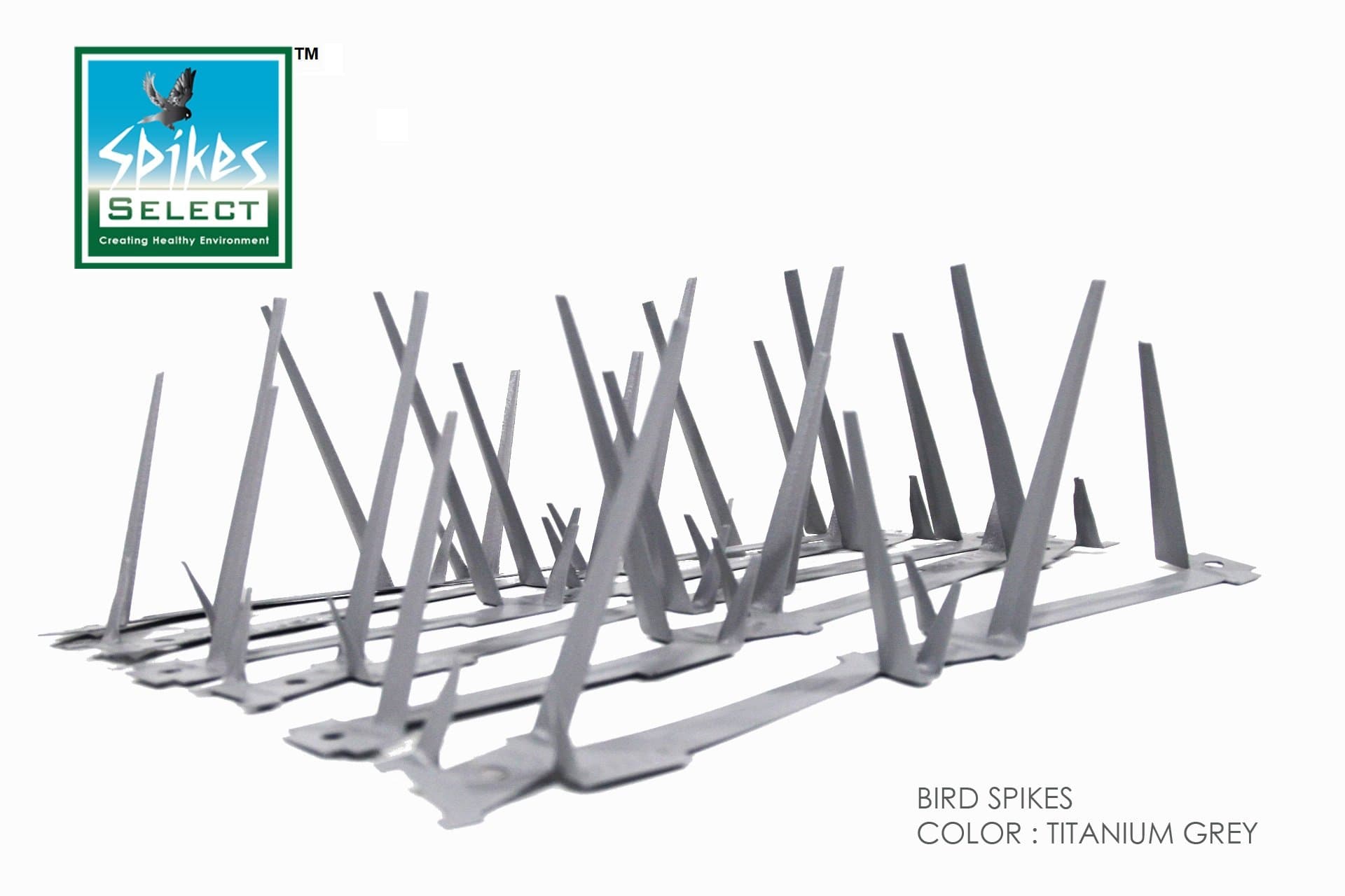 Select Spikes Bird Spikes from Select Exim Polystyrene Powder Coated, 11ft, 91cm (Titanium Grey)