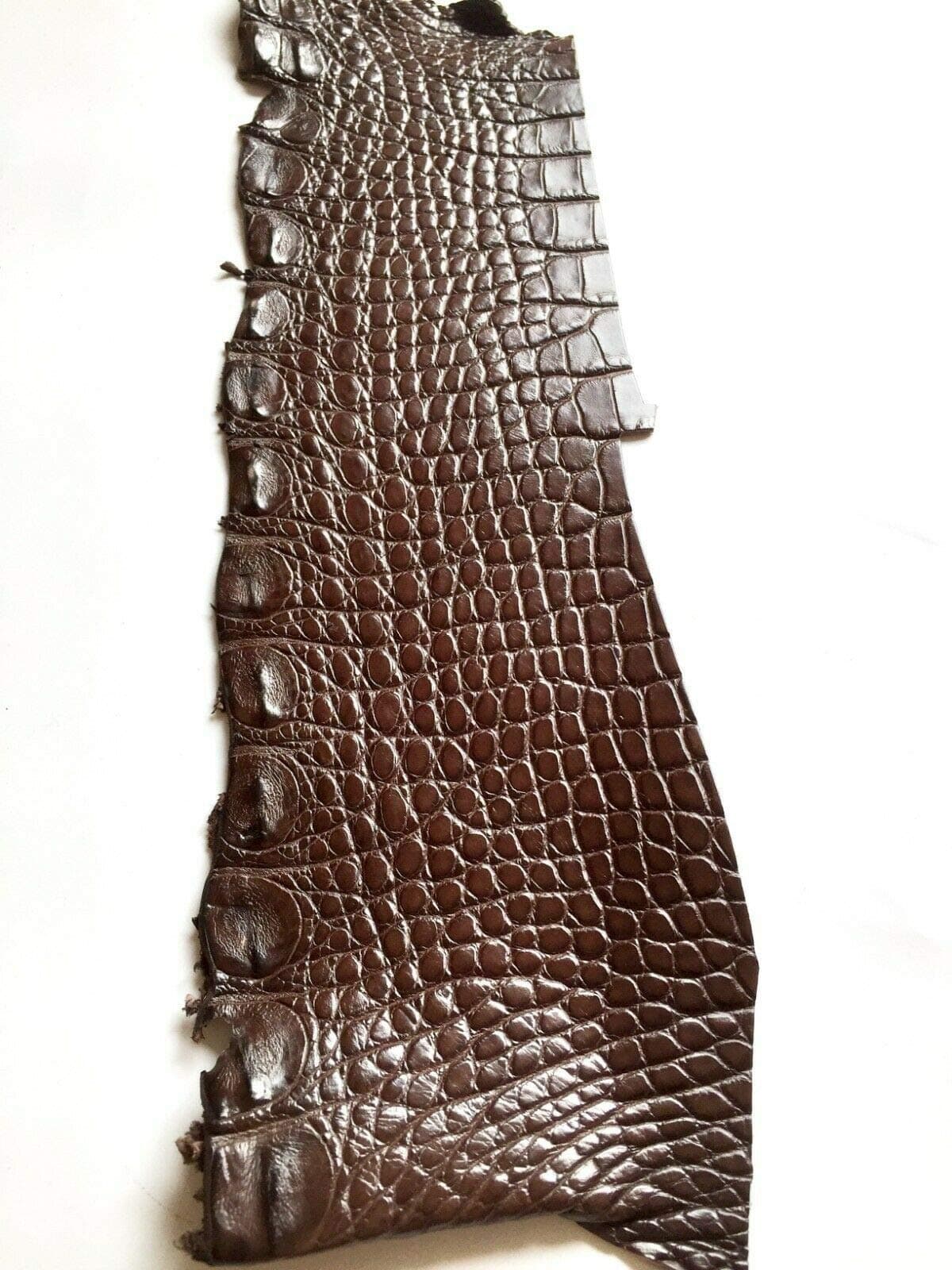Authentic Crocodile Remnants Piece Leather Hide Craft Supply Single One Brown