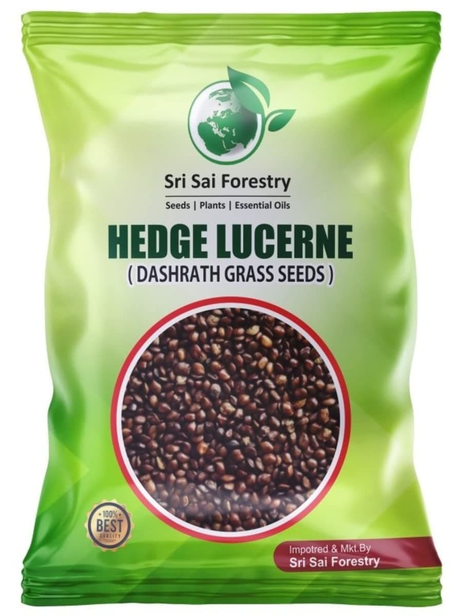 Headge Lucerne Grass Seeds 1KG | High Yield Dashrath Grass Seed