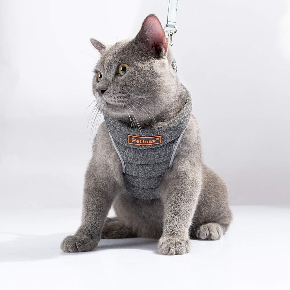 No Pull Pet Harness Vest for Small Dog & Cat● Easy to Put on & Take Off ● Soft Padded Interior & Exterior Puppy Harness ● Snug & Comfortable XS