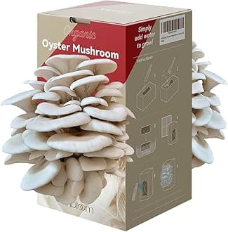 inbloom Organic Oyster Mushroom Growing Kit with Spray, Harvest Fresh Mushrooms at Home, Beginner Friendly & Easy to Use, Unique Gardening Gift for Holiday, Handmade in New Jersey, USA