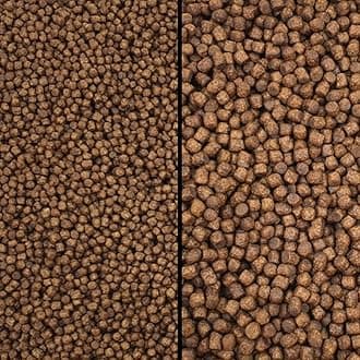 Koi Growth Pellets Floating - Pond Fish Food Carp Goldfish Coldwater Chub Grower (Small Pellet Size (3mm), 250g)